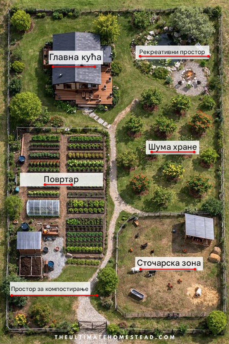 Dobar dan Srbijo tweet media