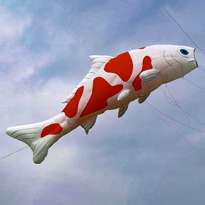 Kite Plan Base tweet media