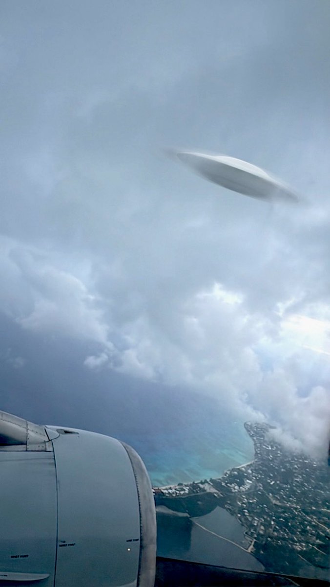 freshfreedom tweet media