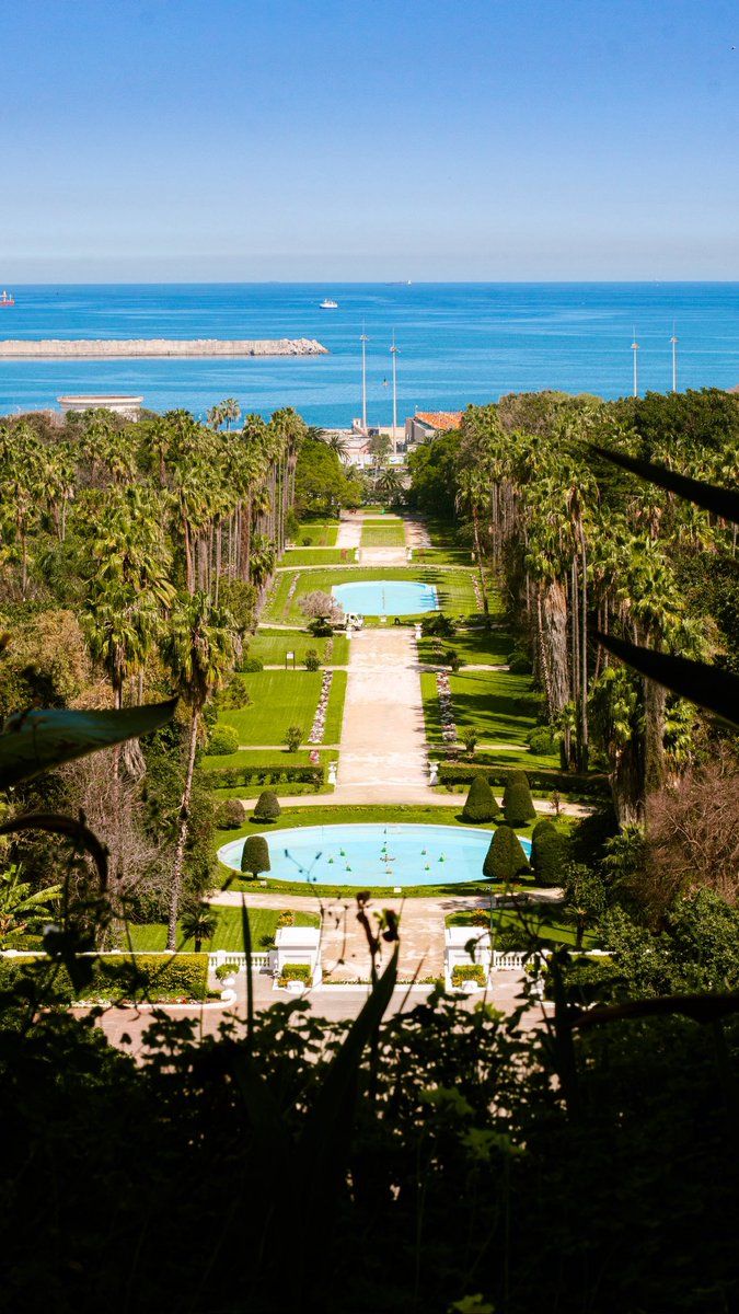 أكرم tweet media