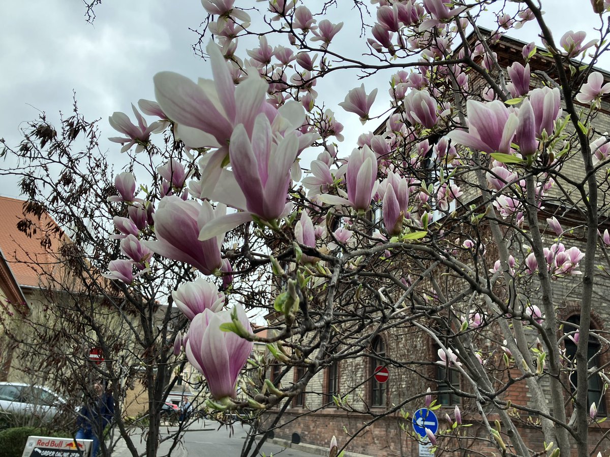 raccoon 🦝🧷Ⓐ🍄 tweet media