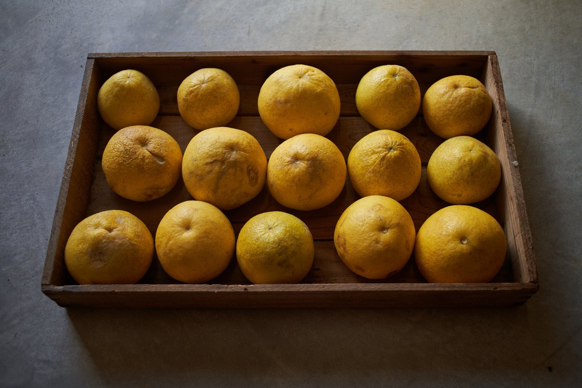 戸田 ミード醸造🐝 nobana tweet media