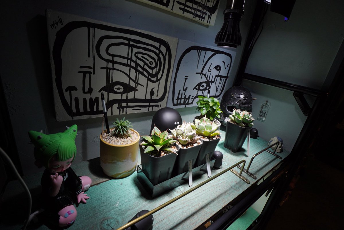 雪駄｛筆字　絵描き tweet media