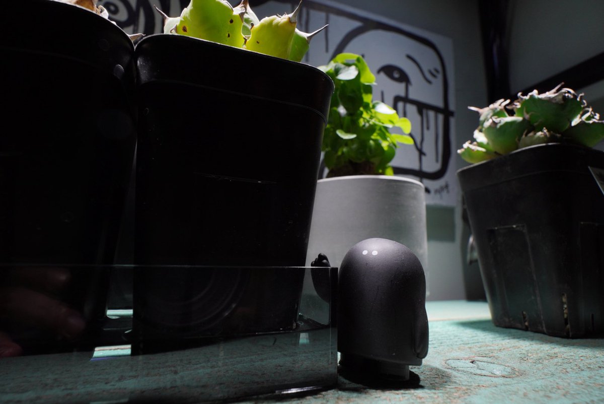 雪駄｛筆字　絵描き tweet media