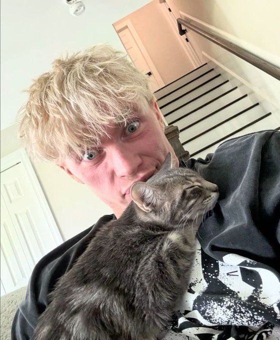 ๐๐๐๐๐๐๐๐๐ tweet media