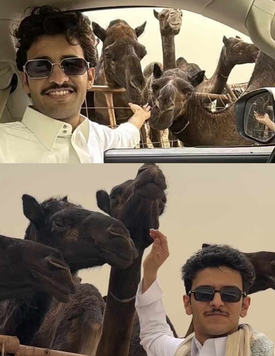 Sara|سارَّهـ🇴🇲 tweet media