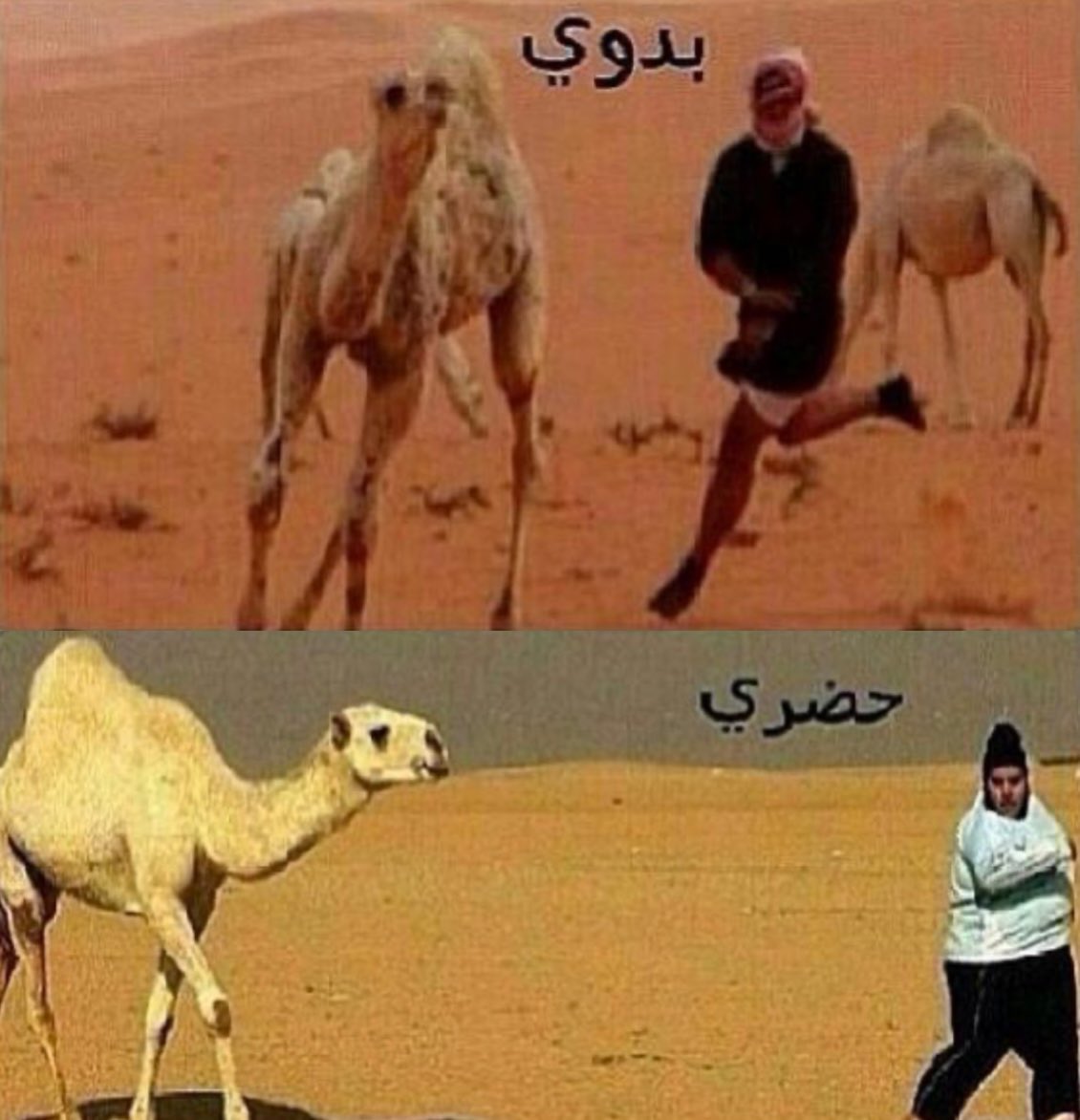 Sara|سارَّهـ🇴🇲 tweet media