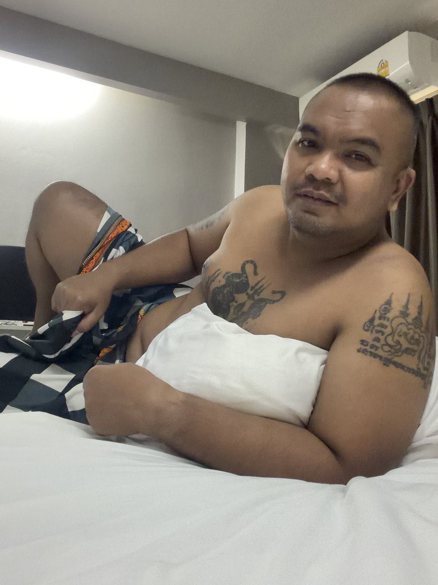 หมีชนบท tweet media