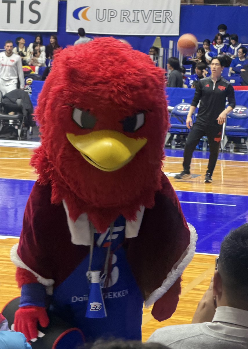 Panda🏀🌺 tweet media