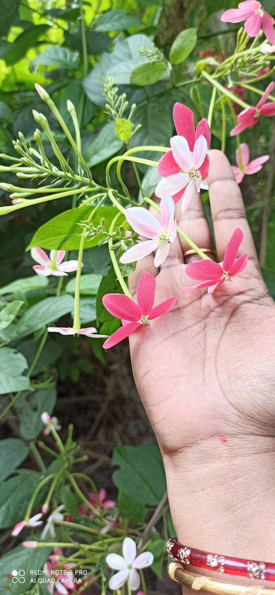 Er.Sushree Sangita#ଜୟ⭕❕⭕ ଜଗନ୍ନାଥ tweet media