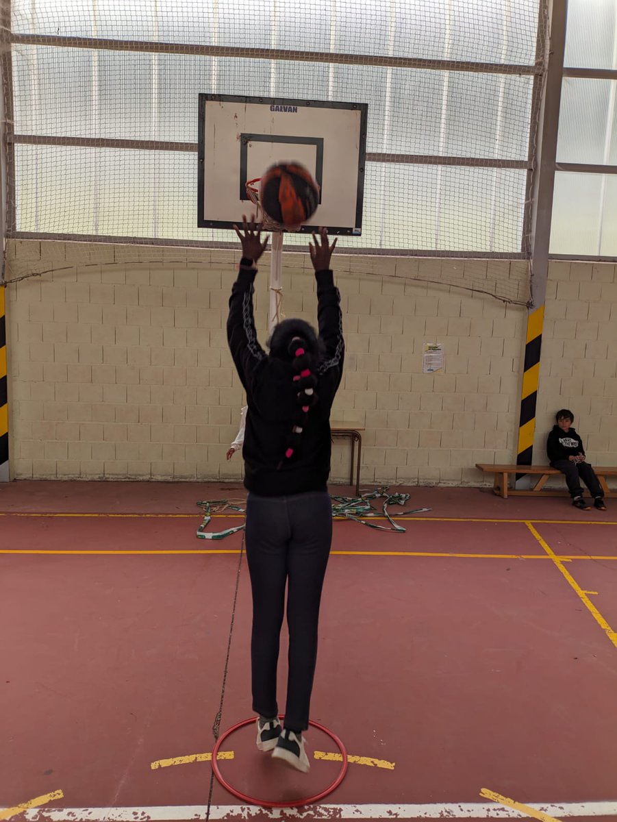 CEIP Claudio Sánchez Albornoz tweet media