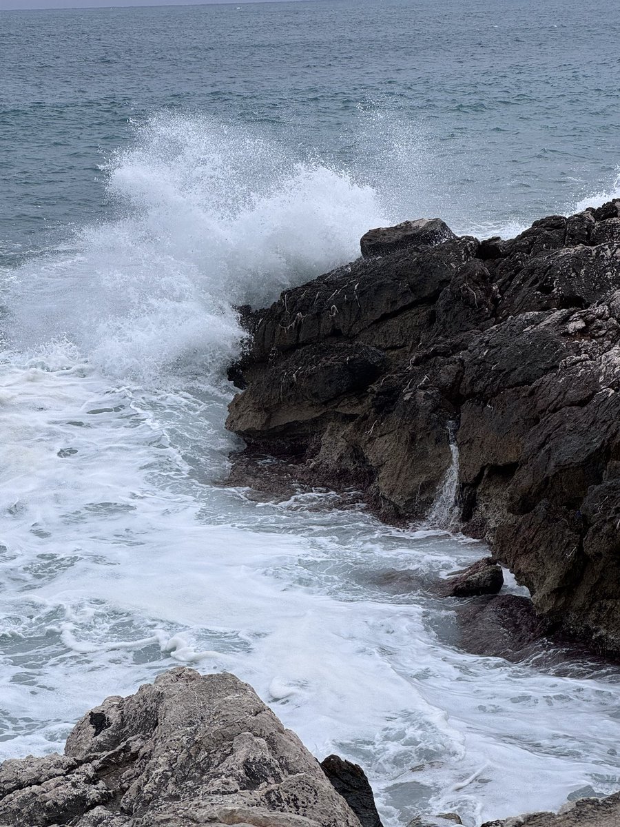 Schaumermal4.1 tweet media