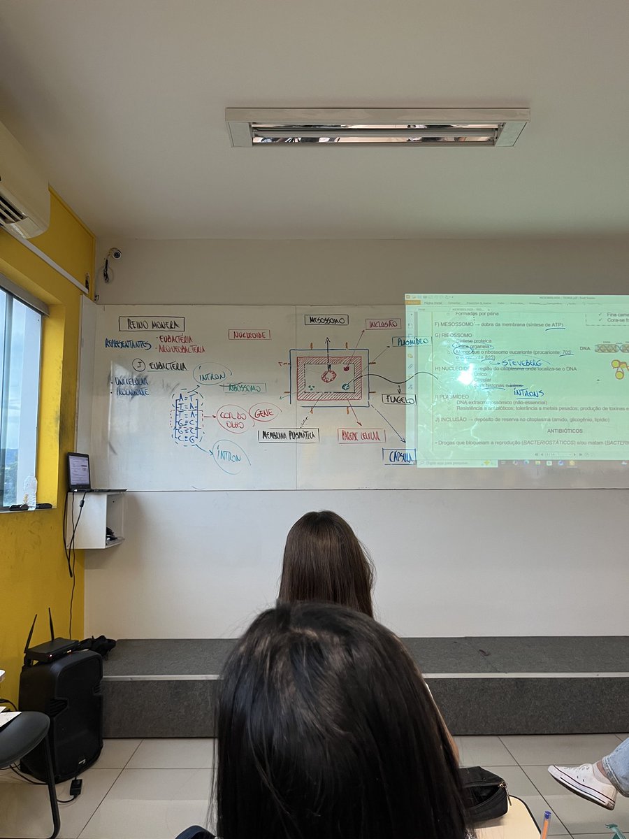 Pedro Lucas tweet media