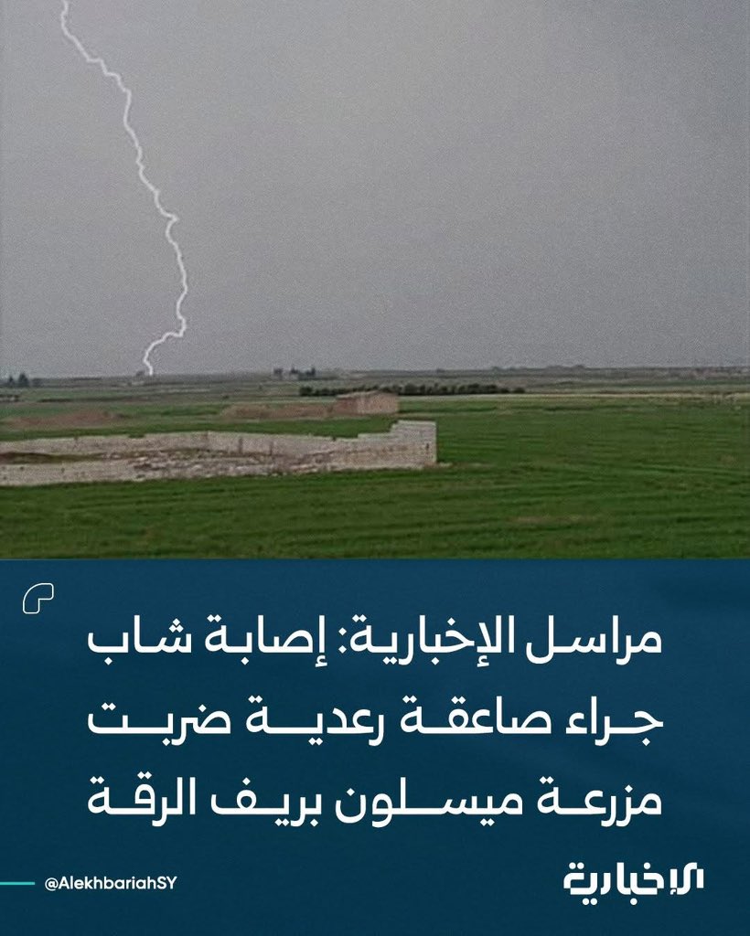 ورد الشام tweet media