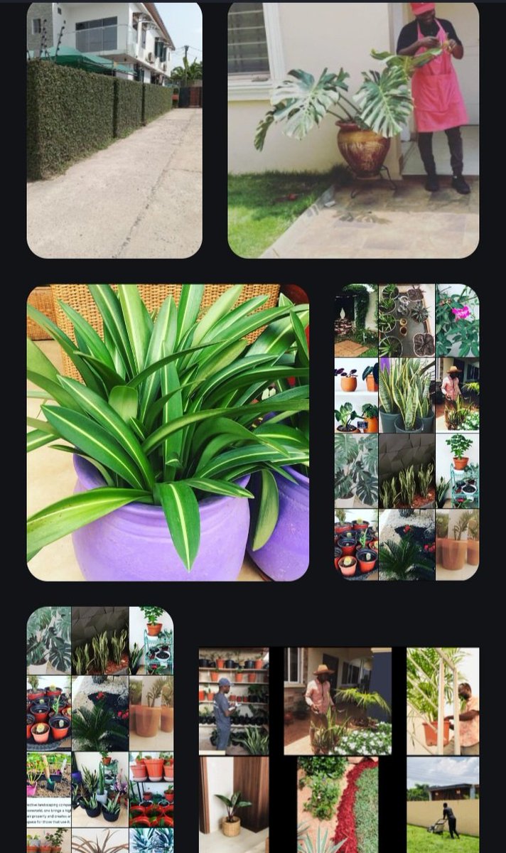 RonnyFurgesson's tweet photo. @thenanaaba Land scape designer from the School of Horticulture 
*landscape 
*flower bouquets 
*Vegetables farming https://t.co/KOIYTwgb5f