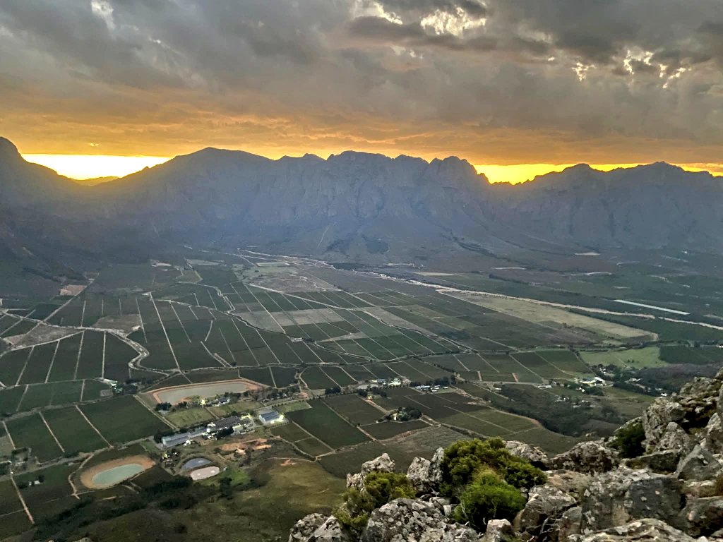 Jacques de Goede tweet media