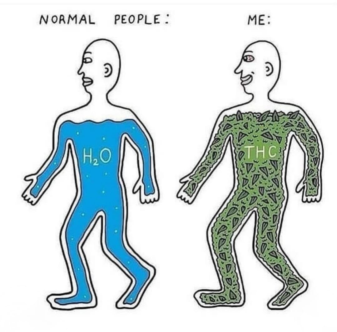 Sr. Weed tweet media