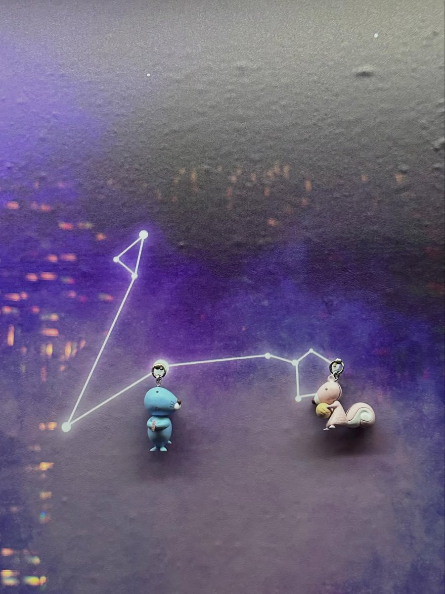 고래🐋 tweet media