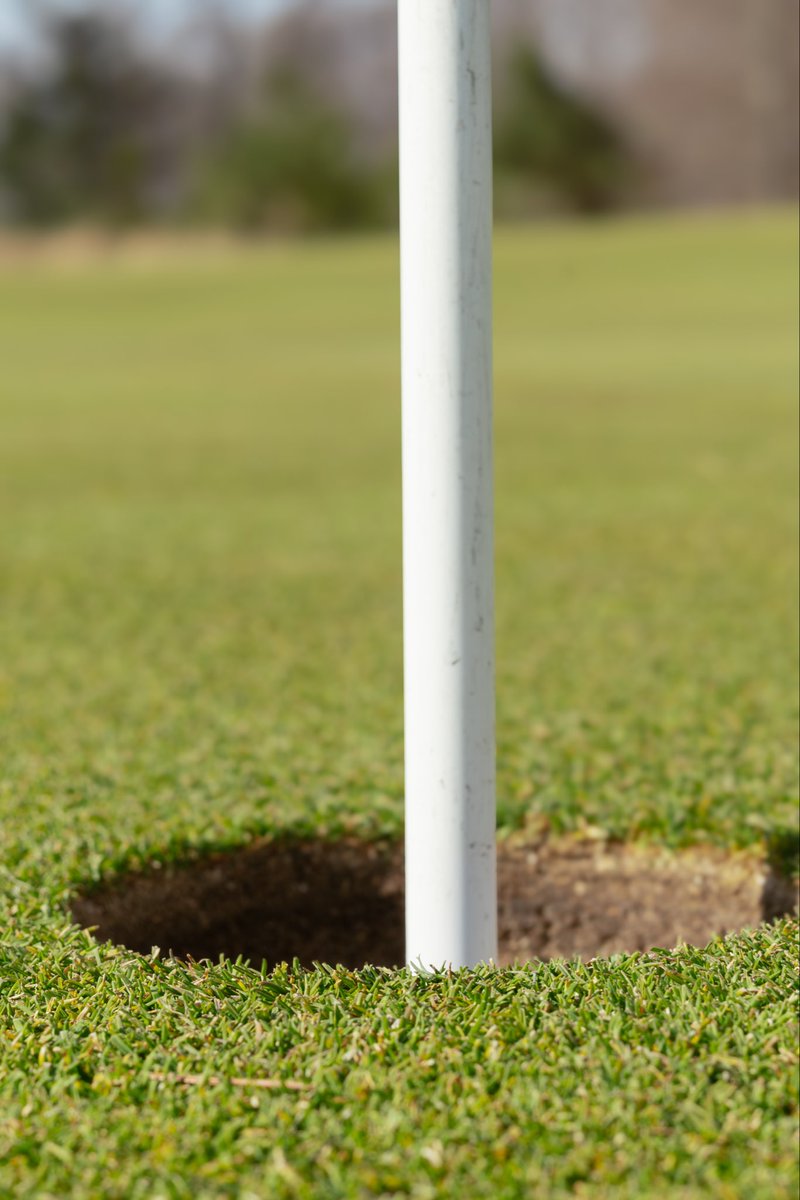 Diamond Springs Golf tweet media