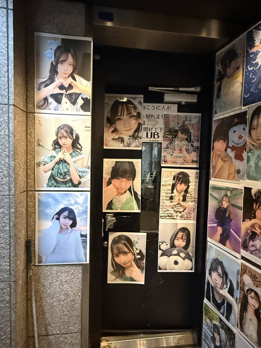 ノアくま【ノア】 tweet media