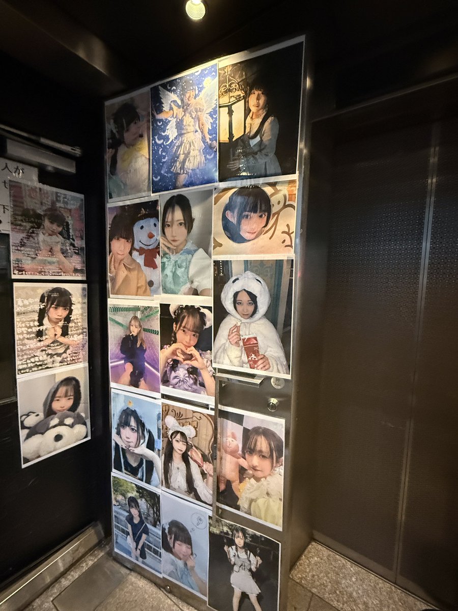 ノアくま【ノア】 tweet media