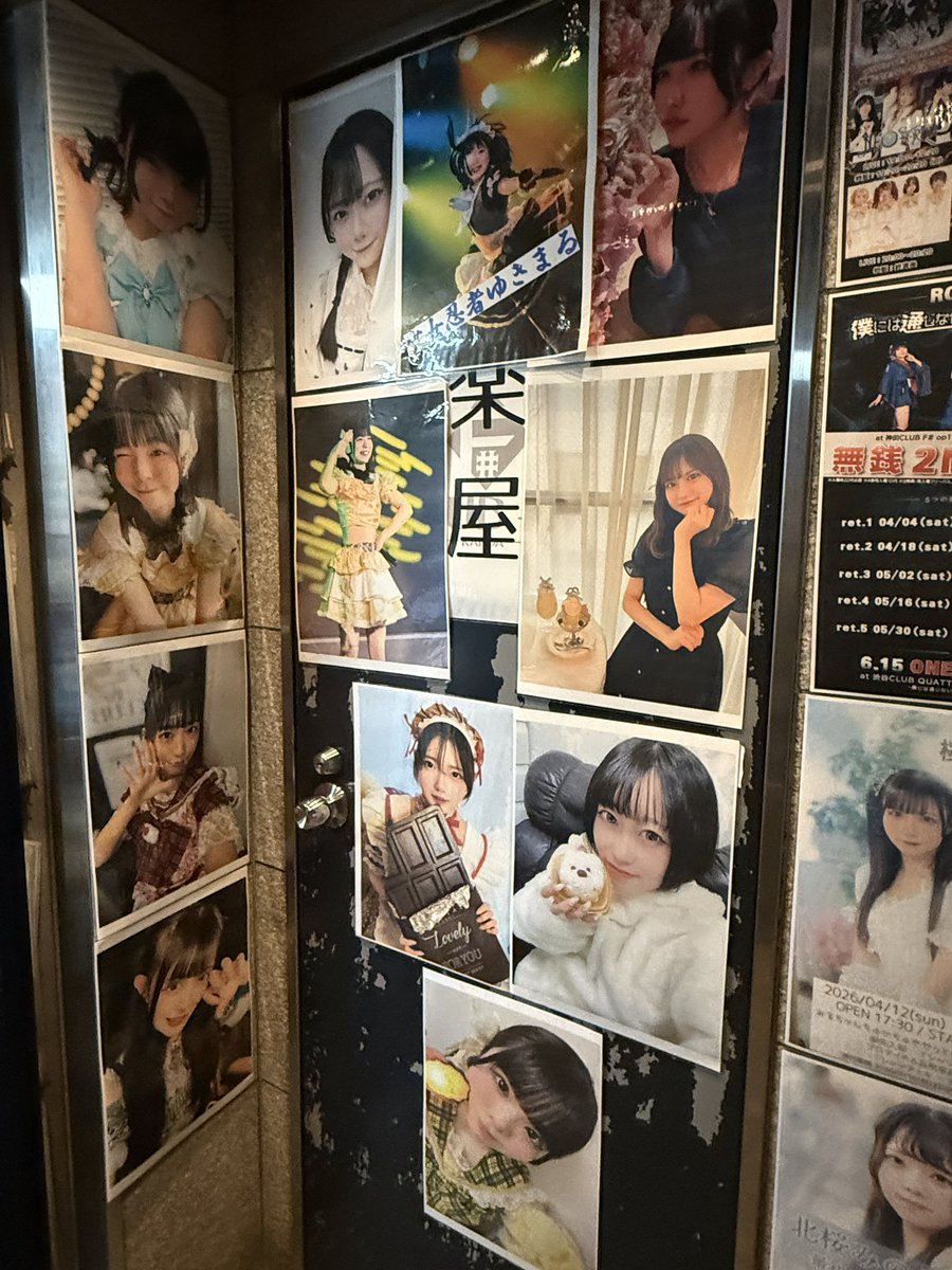 ノアくま【ノア】 tweet media