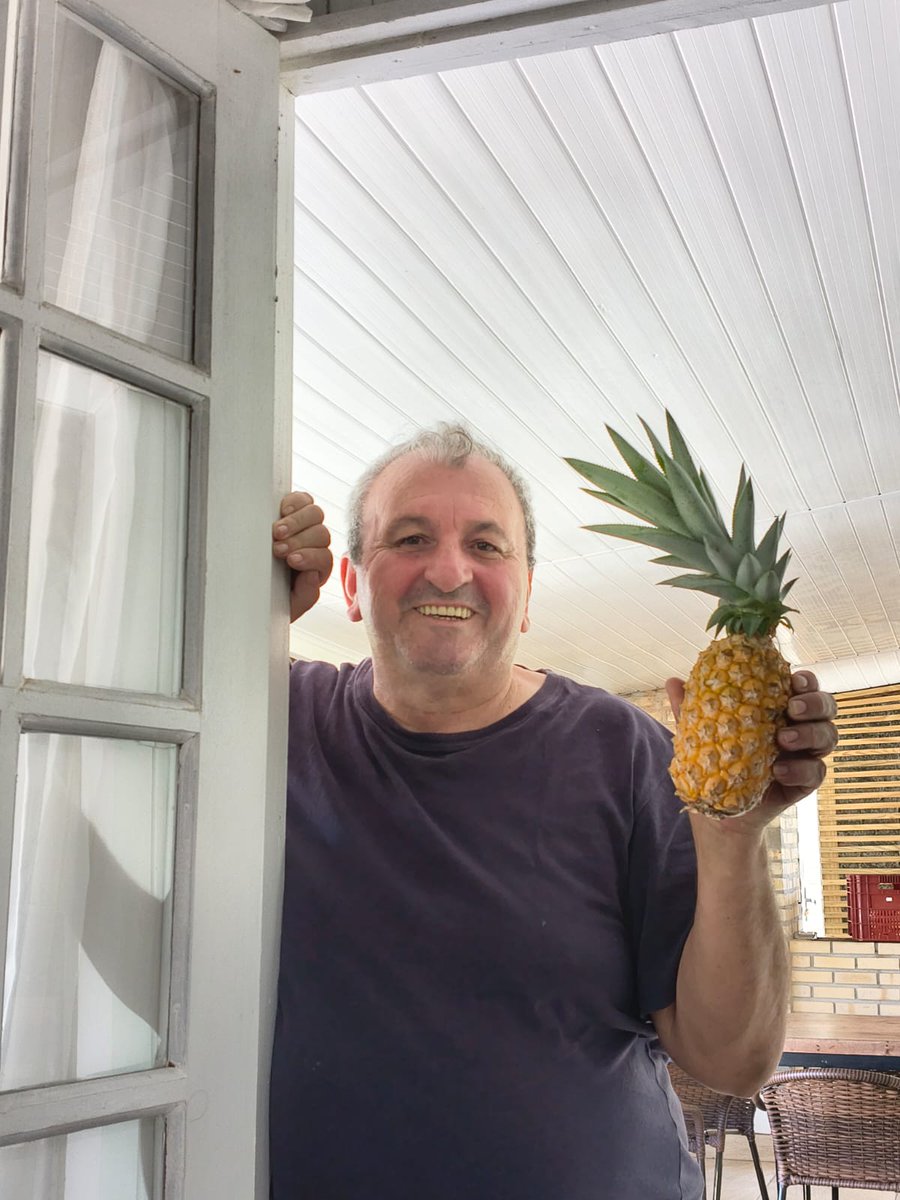JoseVermohlen's tweet photo. Quem planta colhe. Sem veneno. https://t.co/asIdcQ3vR2