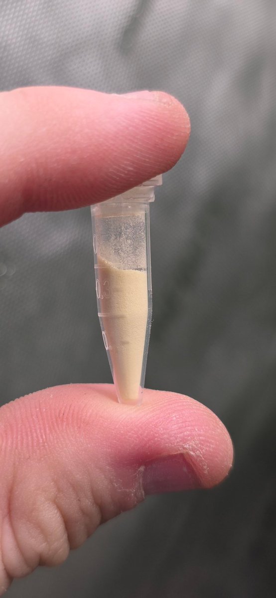 Walipini Seeds tweet media