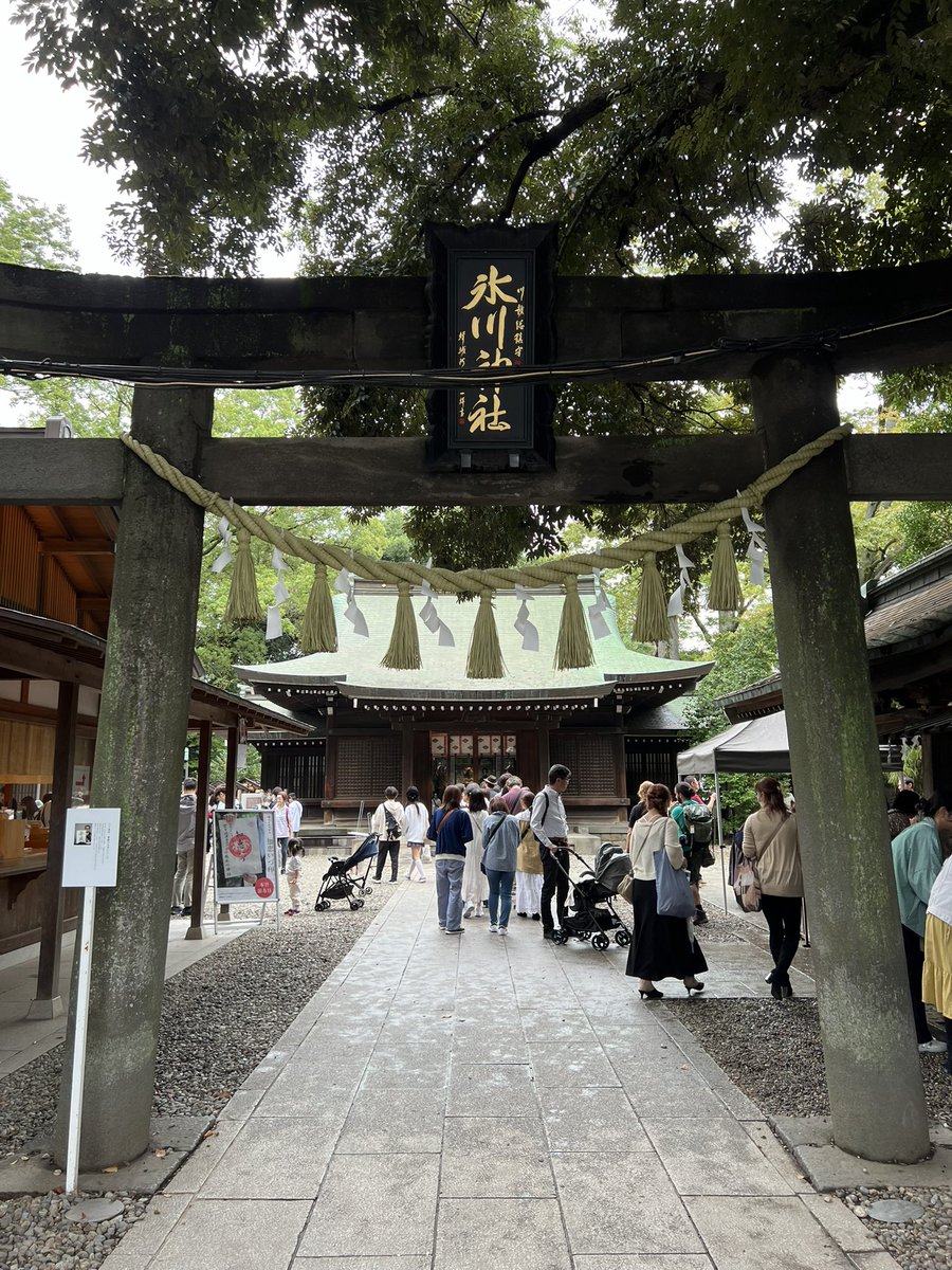 이사벨 tweet media