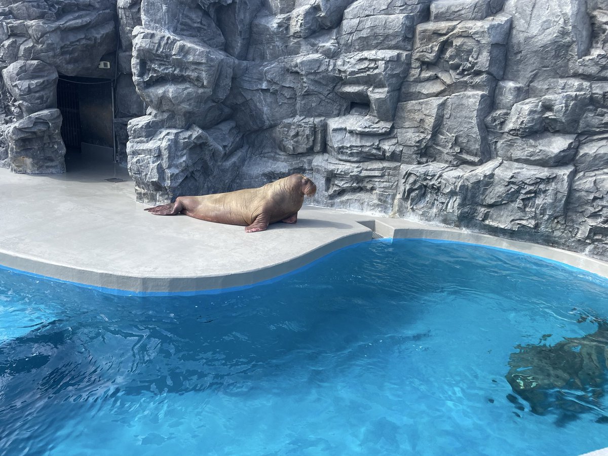 ゆっくりトラベル‼︎ tweet media