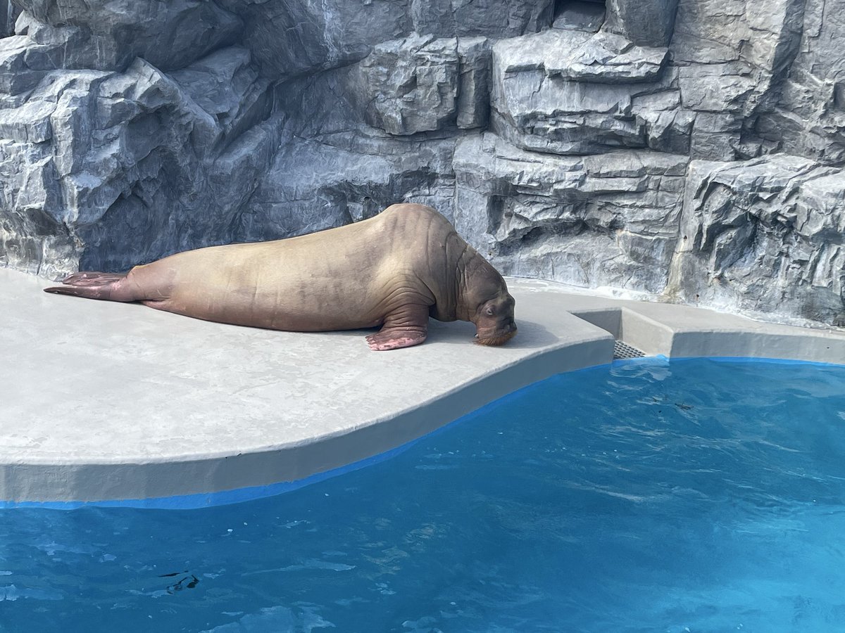 ゆっくりトラベル‼︎ tweet media