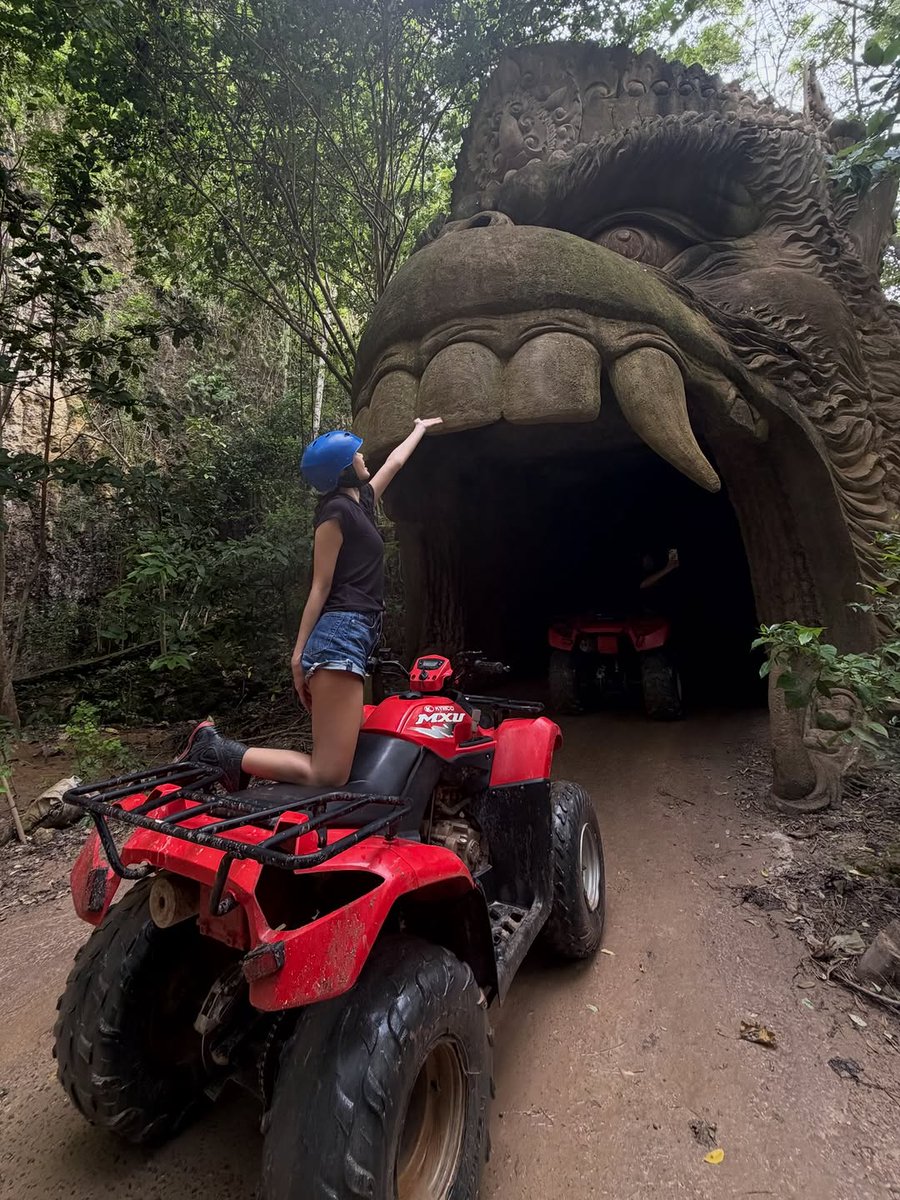 PORTAL LISA tweet media