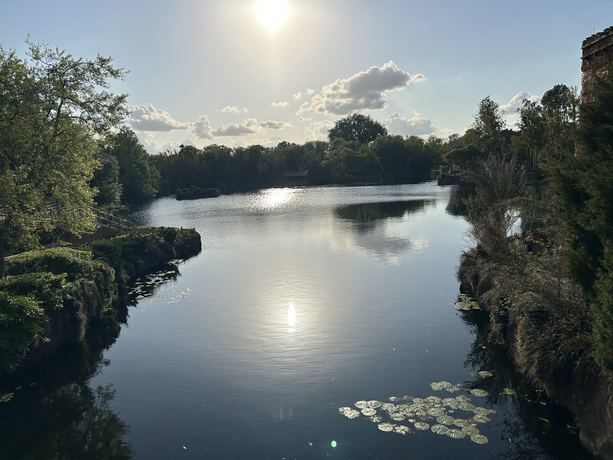 Shawn ™ tweet media