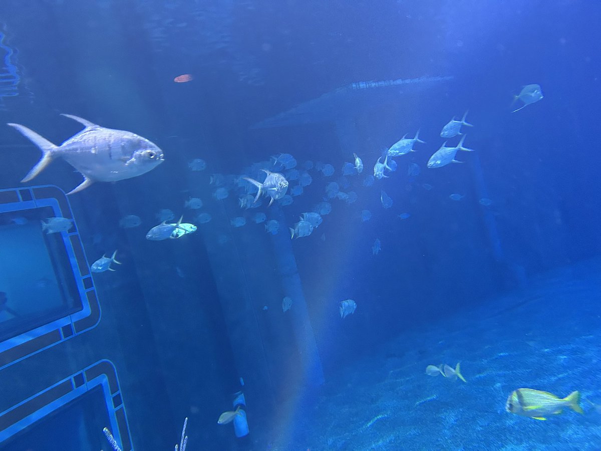 Shawn ™ tweet media