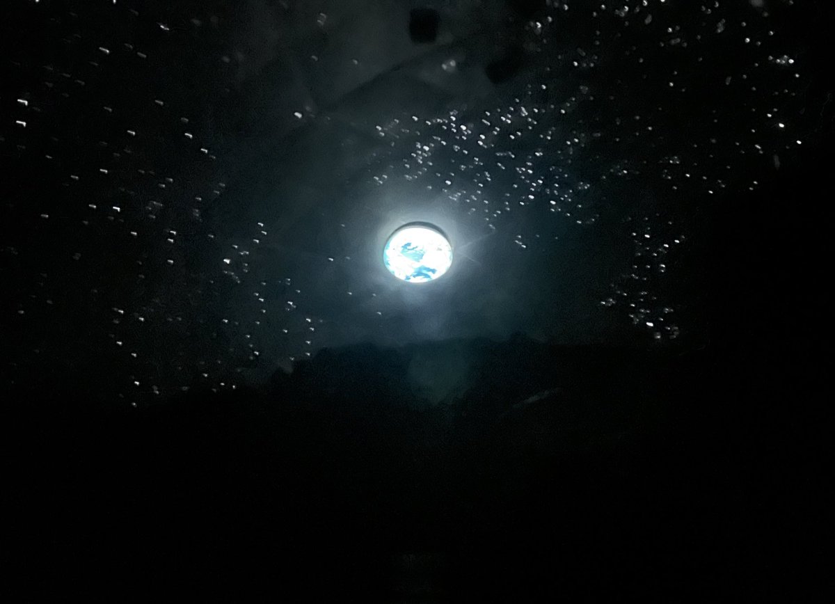 Shawn ™ tweet media