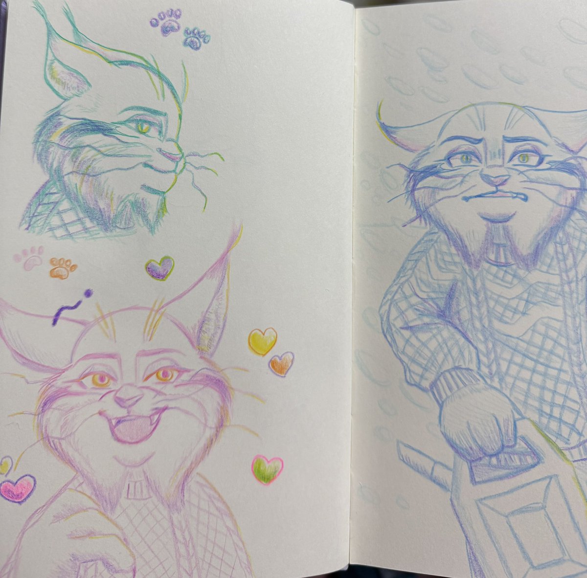 さんれみ🐾🎀 tweet media