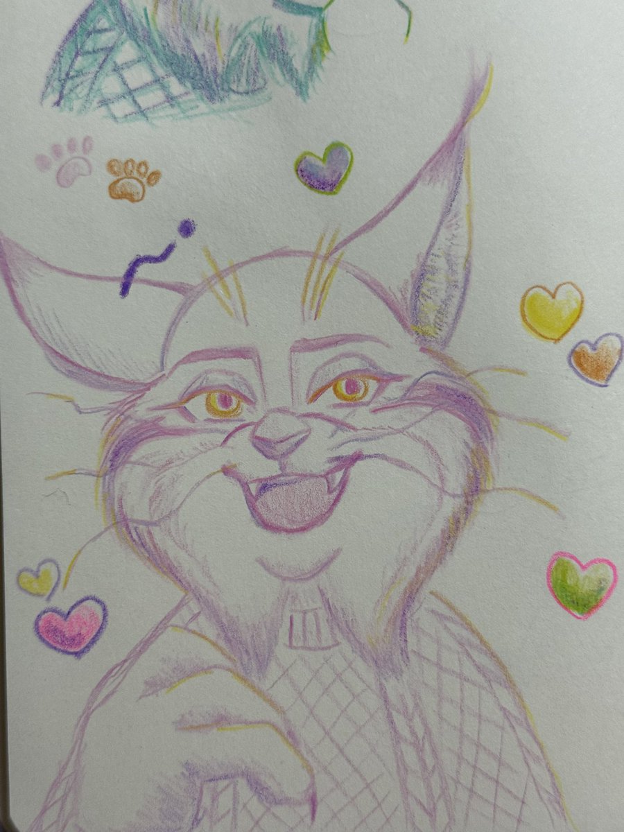 さんれみ🐾🎀 tweet media