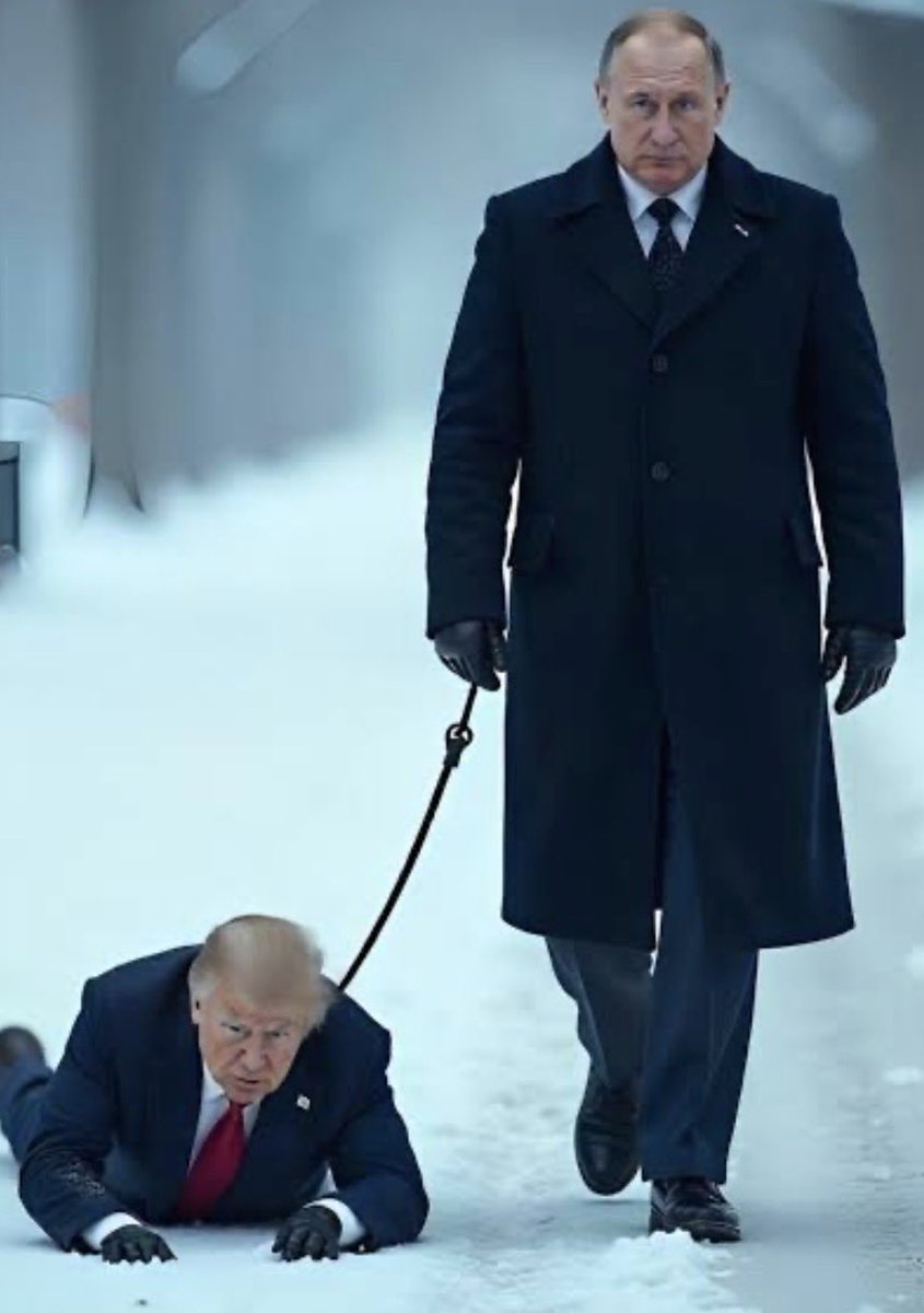 Janitor Jack 🇺🇸🇺🇦🐱🐻🐸🪐 tweet media