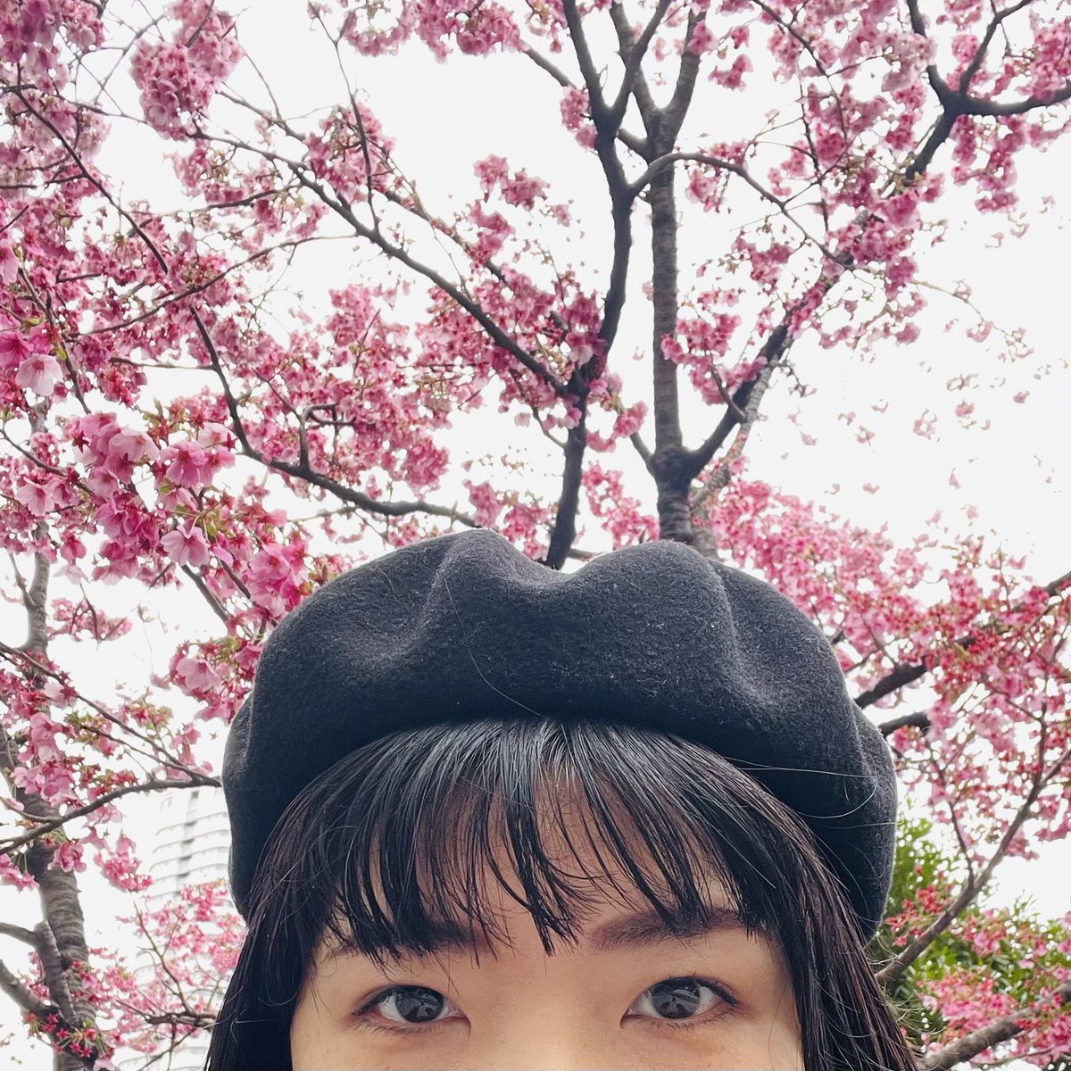 K16Kozue's tweet photo. 前髪って、絶対に！日によって伸びるペースが違うと思うんですよ。
昨日は全く気にならなかったのに…今朝メイクをしていたら、めちゃくちゃ！目に入ってくるじゃないですか！
何があったんでしょ…
キッチリカットして、出動しました！ https://t.co/bxCh2zdviO