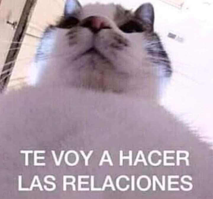 Mαтυяíη 🐢 tweet media