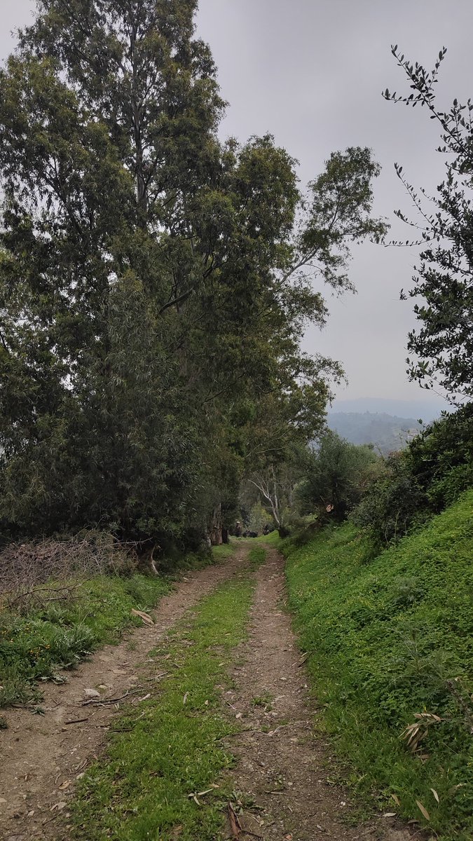 𝒶🌻 tweet media