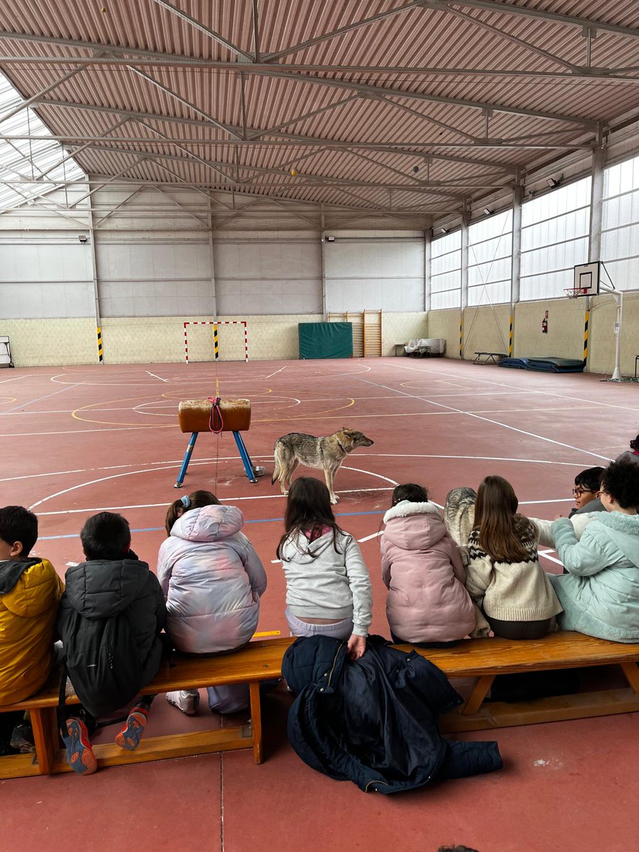 CEIP Claudio Sánchez Albornoz tweet media