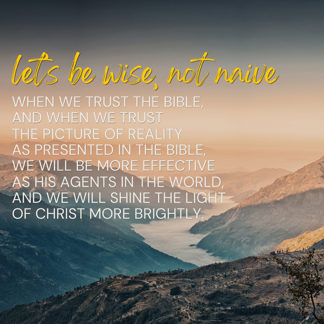 Matthew Ruttan tweet media