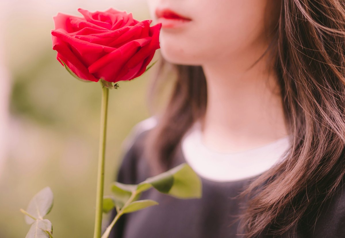 YovyML💞 tweet media