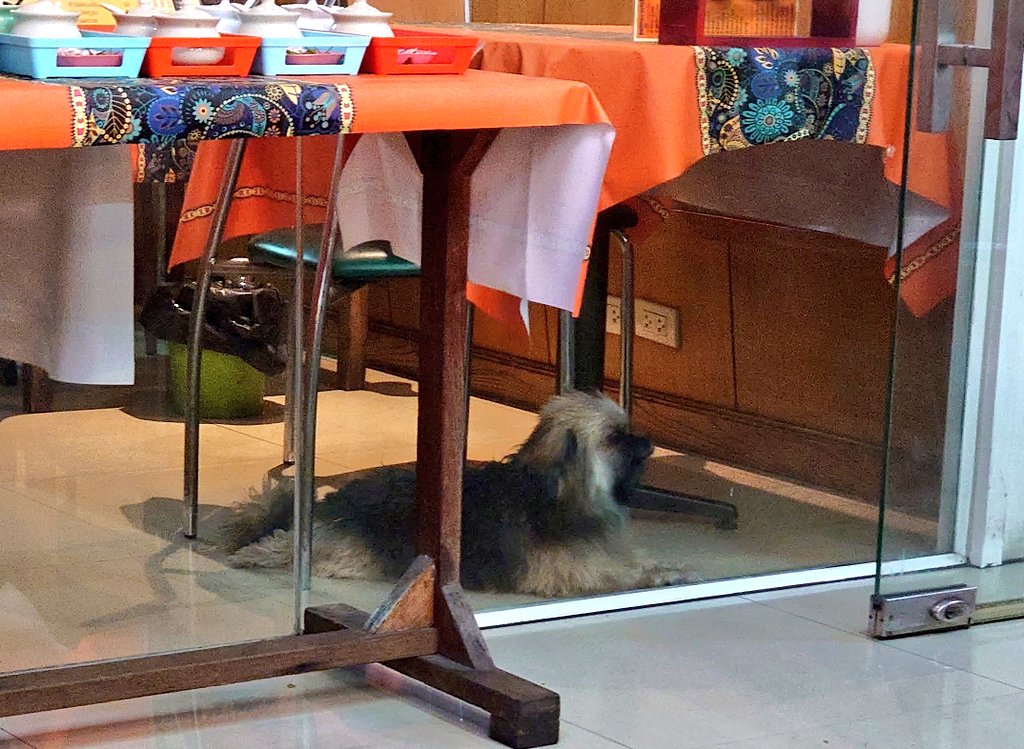 湯田ユダ＠ボロ戸建勇者 tweet media