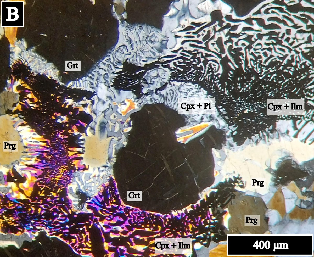 Mineralogical Society of America tweet media