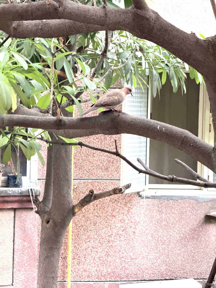 Drishti Foundation Trust® tweet media