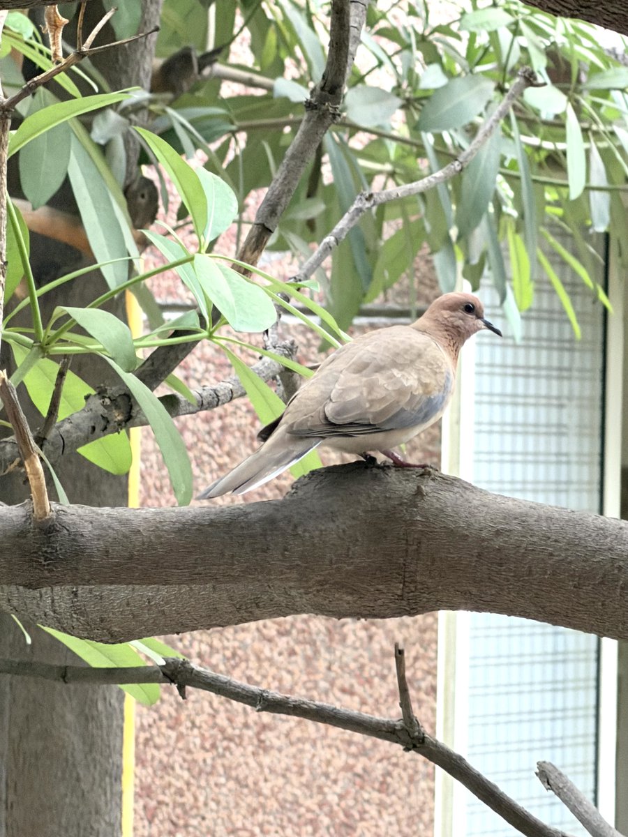 Drishti Foundation Trust® tweet media