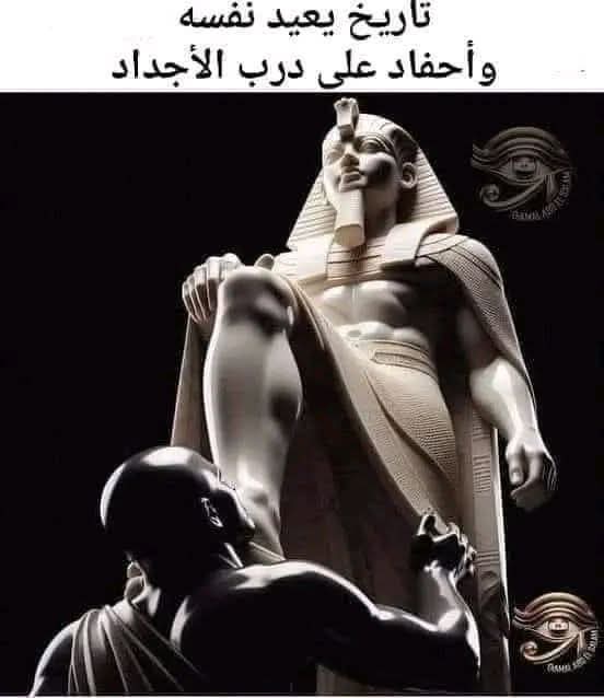 محمد الشريف tweet media