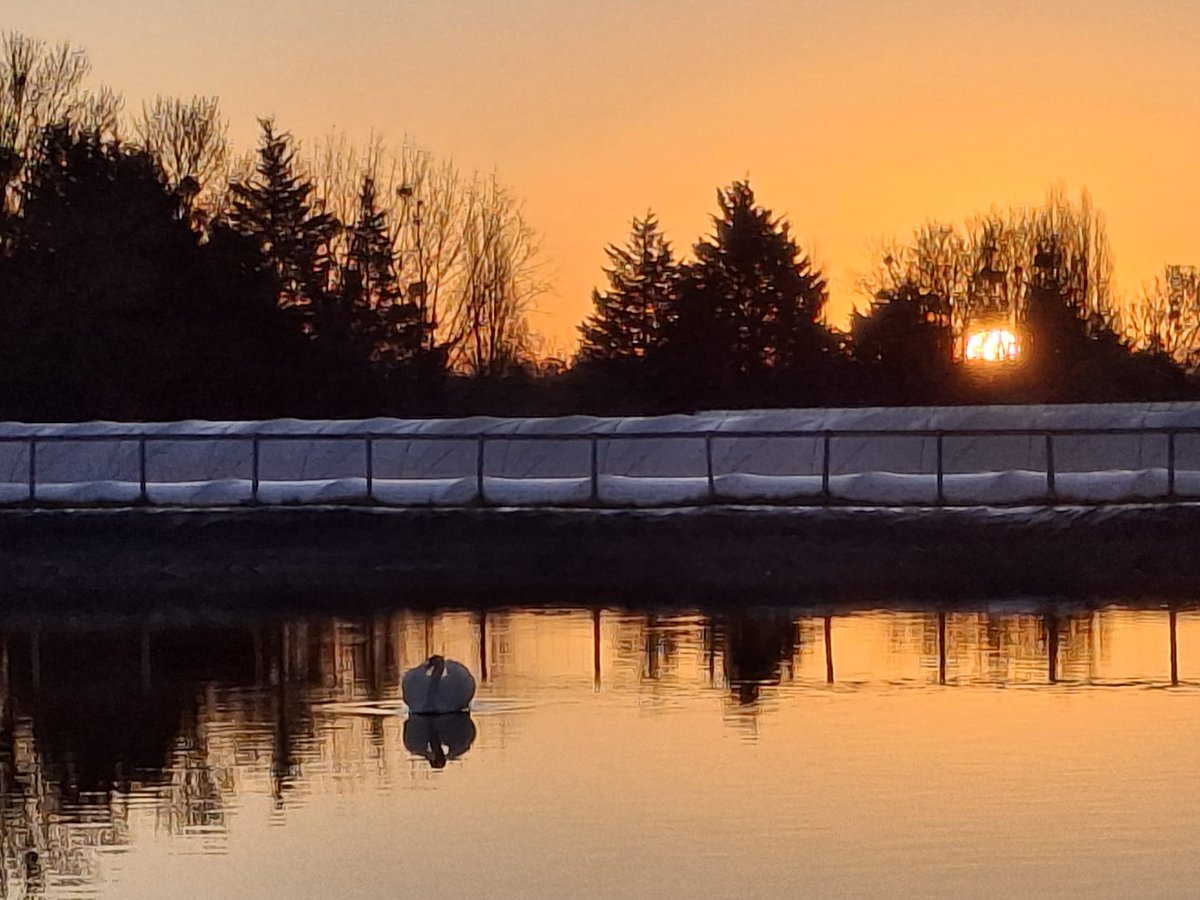 WyevaleNurs's tweet photo. A beautiful sunrise &amp; birdsong gave us the perfect start to the day here on the nursery. A HUGE THANK YOU to Linda, Trading Supervisor, for sharing this morning’s bird‑spotting highlights from our iconic reservoir, along with these stunning images of the view across the water. https://t.co/VzaR77HC33